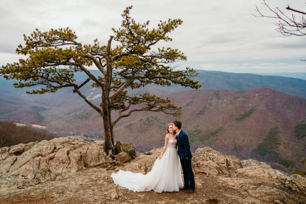 shenandoah-national-park-elopement-cliff-view.jpg Couple standing on rocky cliff beside a lone tree with panoramic mountain views in Shenandoah National Park